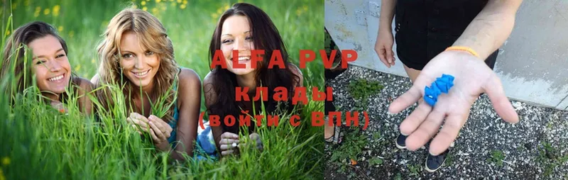 купить  цена  Кола  Alfa_PVP VHQ 